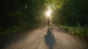 Person joggar med hund på en solbelyst skogsväg